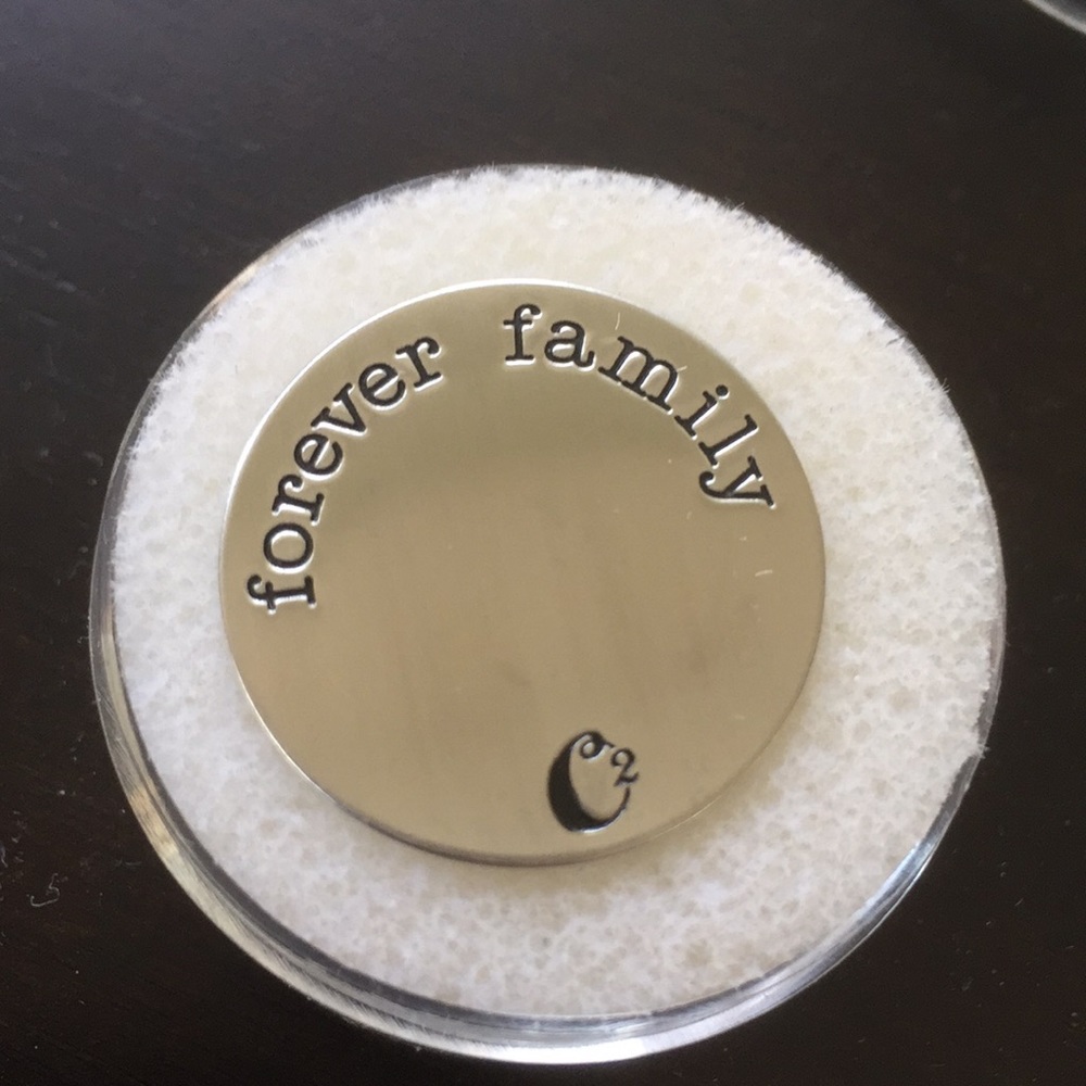 Origami Owl Large Silver Locket Plate Forever Family